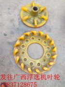 发往广西贵港浮选机