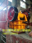 发往重庆客户600*400鹅